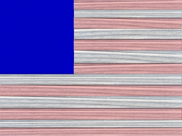 Creation of U.S. Flag: Step 3